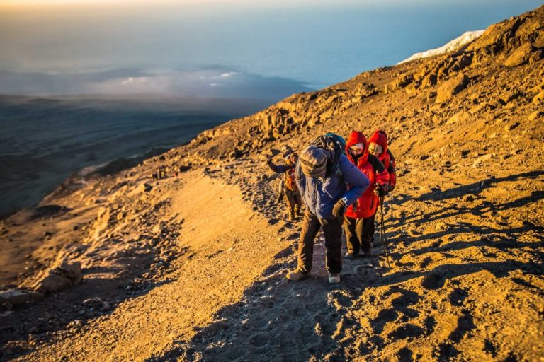 7 Days Mount Kilimanjaro Climbing on Machame Route