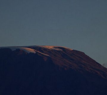 Featured0065 360x320
