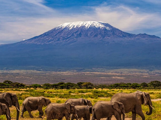 How do I recover from the Kilimanjaro trek?
