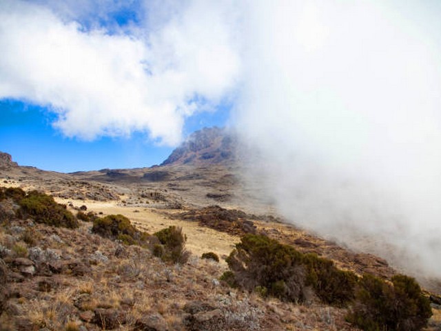 Do you offer last-minute booking options for Kilimanjaro?