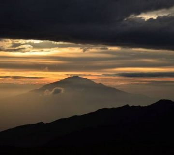 Featured0164 360x320