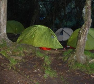 Featured0185 360x320