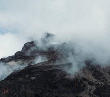 Featured0263 360x320