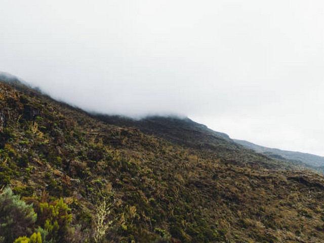 General Kilimanjaro Trekking FAQs