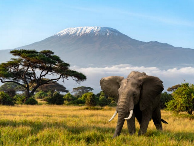 8 Days Mount Kilimanjaro Climbing on Machame Route