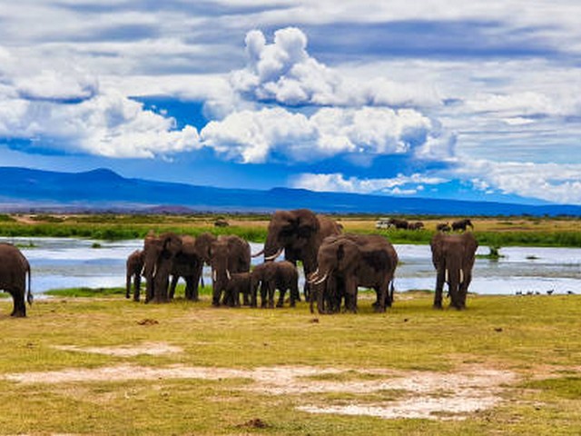 How do I get from Moshi to Kilimanjaro National Park?