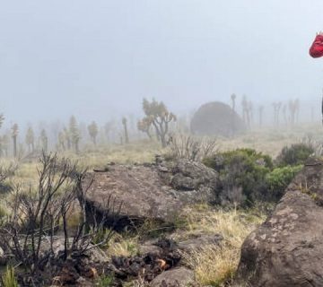 Featured0304 360x320