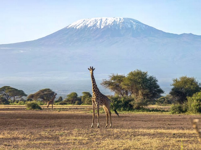 What is the best route for acclimatisation?