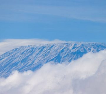 Featured0392 360x320