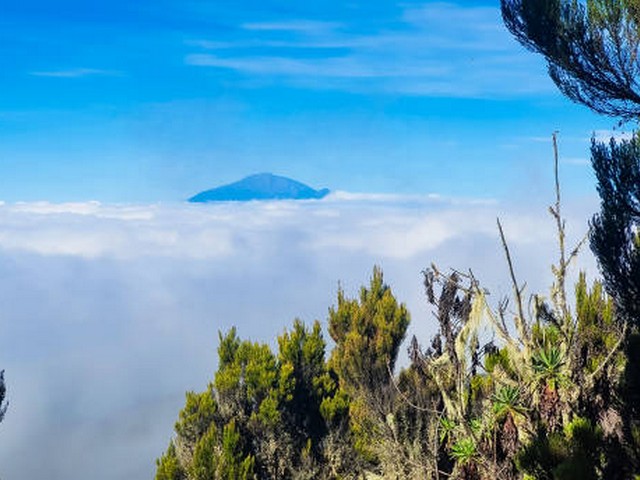 What is the Leave No Trace policy on Kilimanjaro?