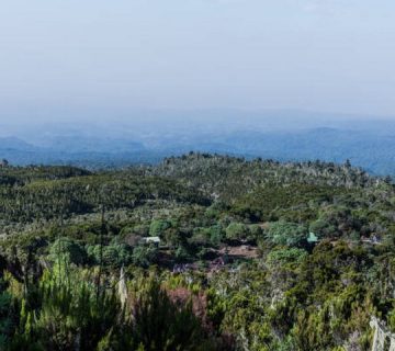 Featured0534 360x320