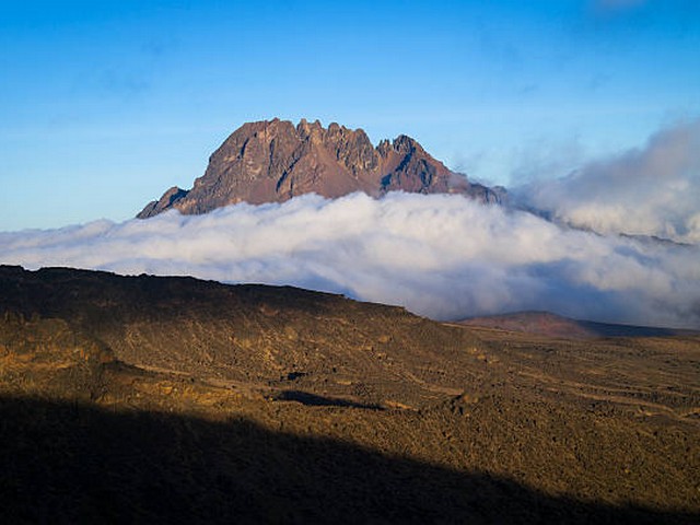 What is the success rate for Kilimanjaro climbers?