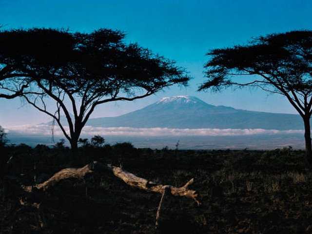 Weru Weru River Lodge