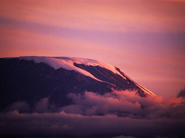 How experienced are the guides on Kilimanjaro treks?