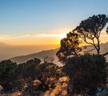 Featured0699 360x320