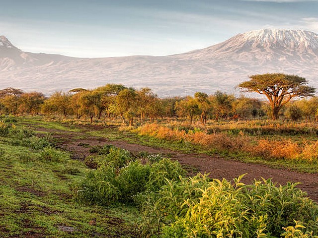 What are the chances of altitude sickness on Kilimanjaro?