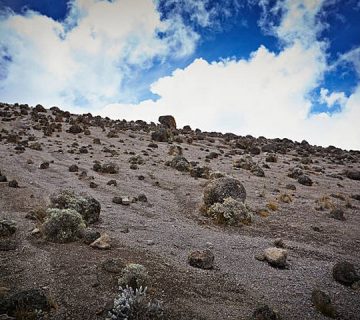 Featured0723 360x320