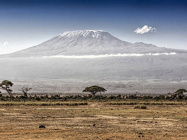 How do trekking companies contribute to local economies?