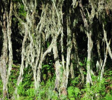 Featured0760 360x320