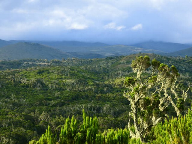 What is the best time to fly to Tanzania for Kilimanjaro trekking?