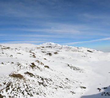 Featured0779 360x320