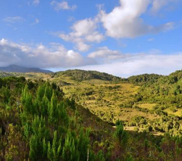 Featured0782 360x320