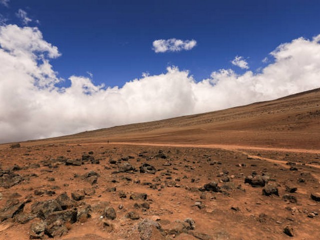 Is there wildlife on Kilimanjaro?