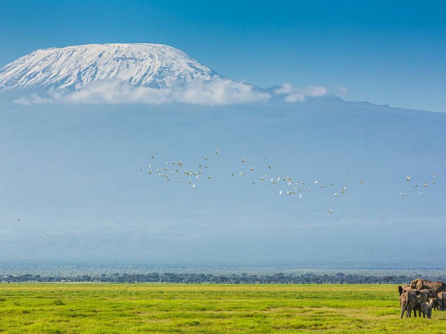 How do I book a Kilimanjaro trekking tour?