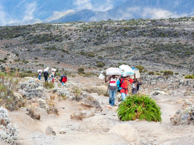 What should I know about the Maasai and Chagga tribes before my trek?