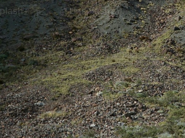 What kind of food is provided during the trek?