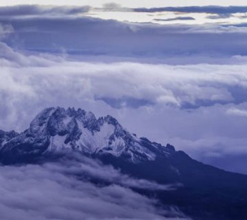 Featured0992 360x320