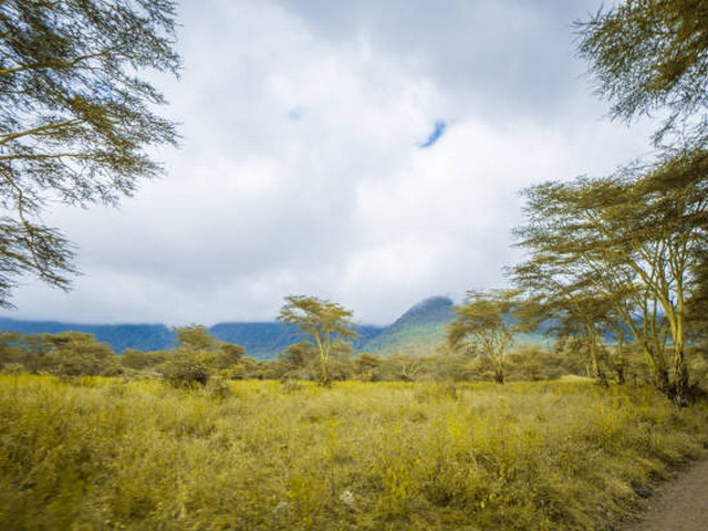Trekking Preparation FAQs
