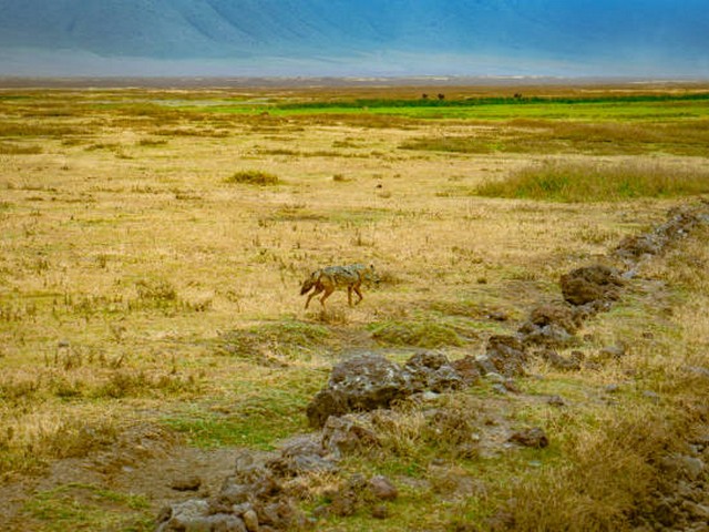 What is done with waste generated on Kilimanjaro?