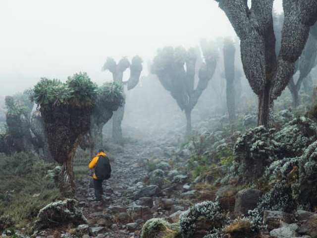 How do I choose the best Kilimanjaro route?
