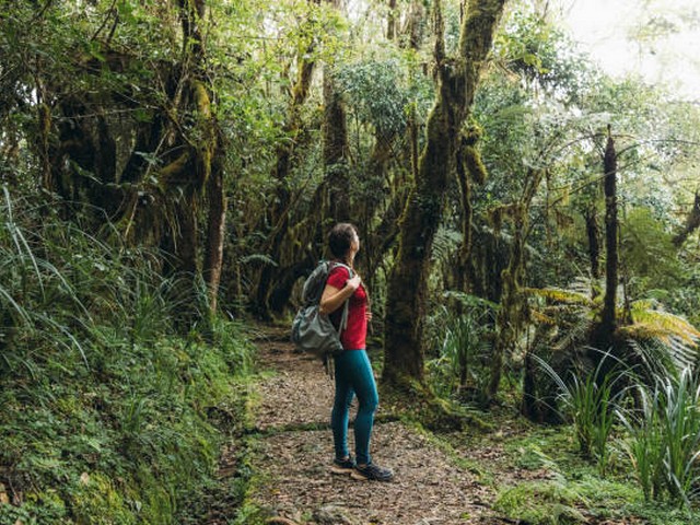 Can I request a specific guide for my Kilimanjaro trek?