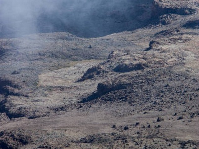 How does Kilimanjaro trekking affect wildlife?