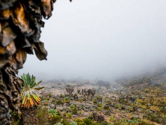 Are there water conservation practices on Kilimanjaro?