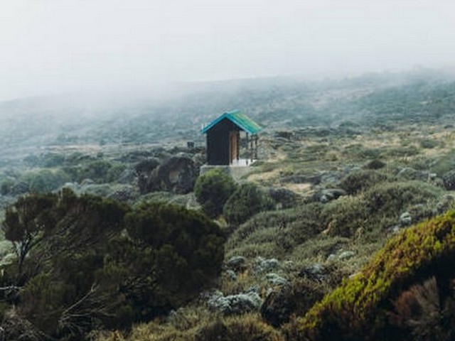 What is the success rate for the Marangu Route?